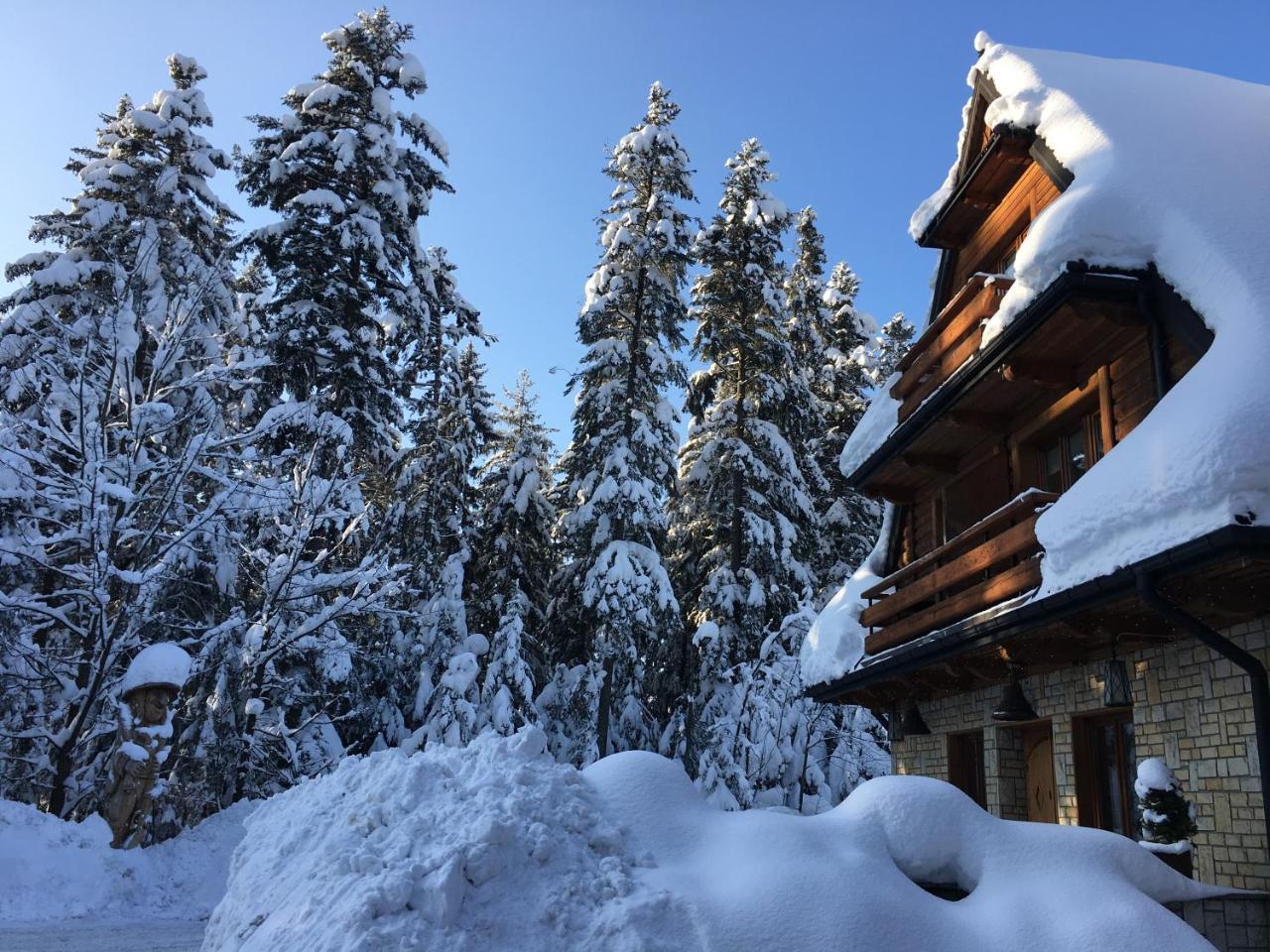 Hotel Dwor Karolowka Zakopane Buitenkant foto